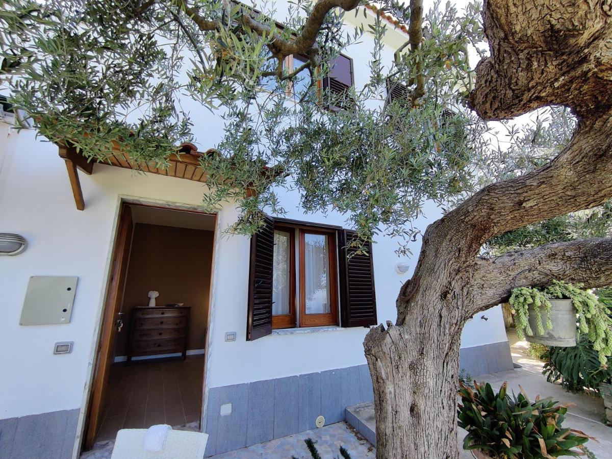 Apartamento Il Nido Del Gabbiano Massa Lubrense Exterior foto